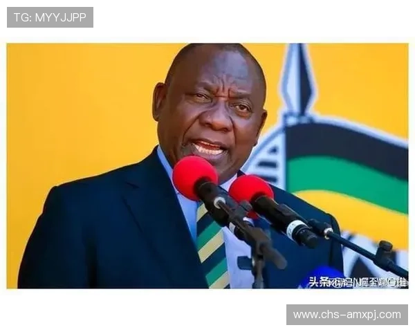 下载新普京的注意事项，确保软件版本最新且符合您的使用需求