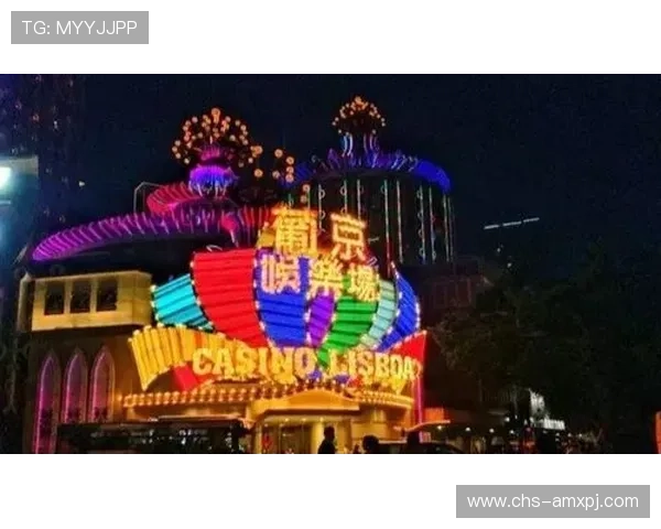 澳门新普京不断创新游戏玩法，满足不同玩家的多样化娱乐需求