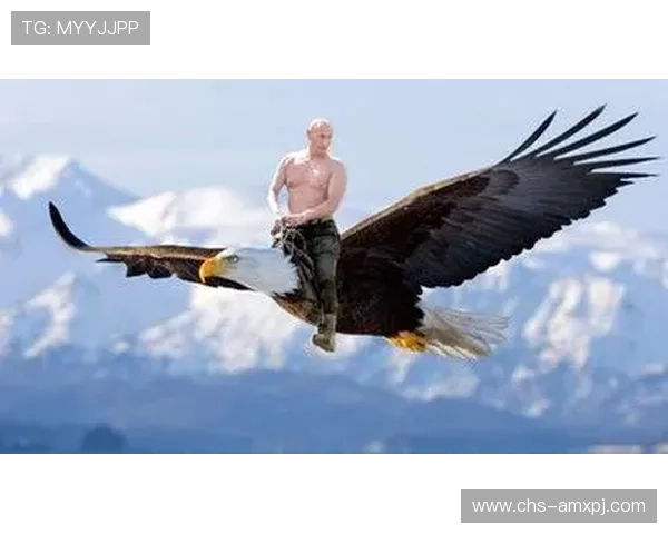 新普京手机新设计风格如何提升手机整体性能与用户满意度的实用建议 新普京手机新设计风格如何提升手机整体性能与用户满意度的实用建议