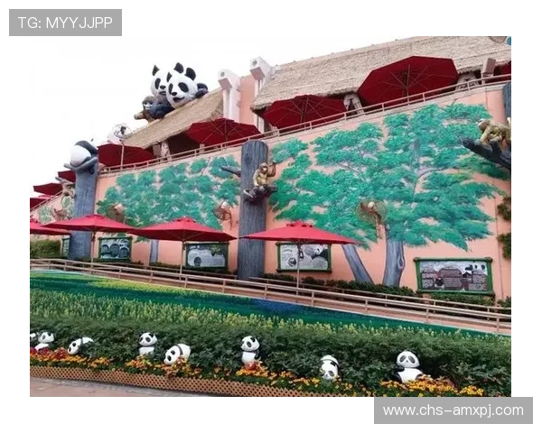 澳门新葡京官方入口最新登录指南，轻松进入享受丰富娱乐项目